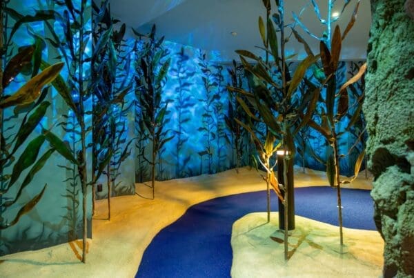 Commercial Restoration & Murals